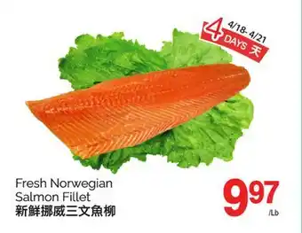 T&T Supermarket FRESH NORWEGIAN SALMON FILLET offer