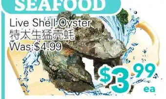 Ample Food Market Live Shell Oyster offer