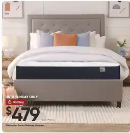 Dormez Vous Distinction Series Delaney Mattress offer