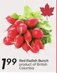 Sobeys Red Radish Bunch offer
