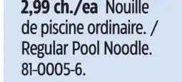 Canadian Tire Regular Pool Noodle offer