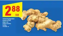 Maxi RACINE DE GINGEMBRE | ginger root offer