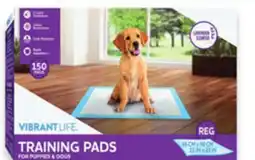 Walmart Vibrant Life Dog Training Pads offer