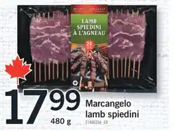 Fortinos MARCANGELO LAMB SPIEDINI, 480 G offer