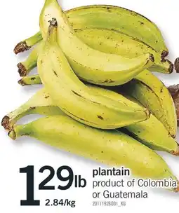 Fortinos PLANTAIN offer