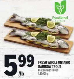 Metro FRESH WHOLE ONTARIO RAINBOW TROUT offer