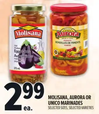 Metro MOLISANA, AURORA OR UNICO MARINADES offer