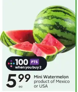 Sobeys Mini Watermelon offer