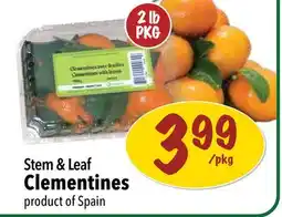 Farm Boy Stem & Leaf Clementines offer