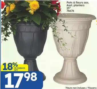 Rossy Asst. planters offer