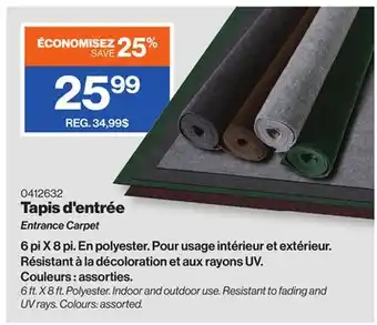 Patrick Morin Entrance Carpet offer