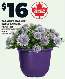 Loblaws Farmer's market early annual planter offer