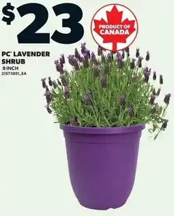 Loblaws PC lavender shrub offer