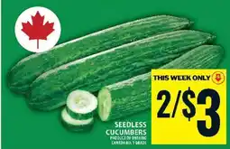 Food Basics SEEDLESS CUCUMBERS offer