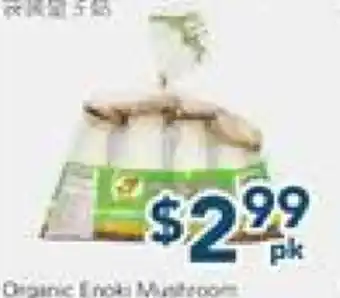 Oceans Fresh Food Market Organic Mushrooms offer