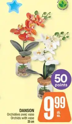 Jean Coutu DANSON Orchids with vase offer