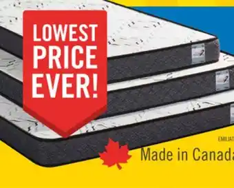 The Brick Springwall Emilia Tight Top Twin Mattress offer