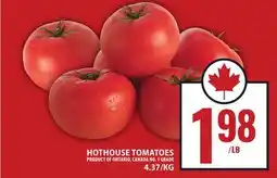 Food Basics HOTHOUSE TOMATOES offer