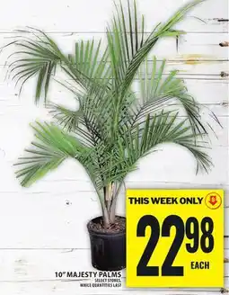 Food Basics 10 MAJESTY PALMS offer