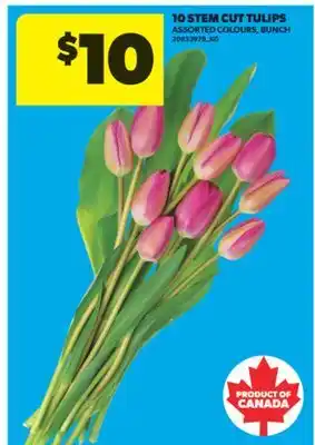Real Canadian Superstore 10 STEM CUT TULIPS offer