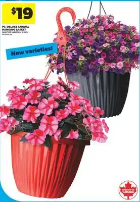Real Canadian Superstore PC DELUXE ANNUAL HANGING BASKET, 11 INCH offer