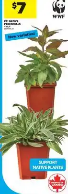 Real Canadian Superstore PC NATIVE PERENNIALS, 4 INCH offer