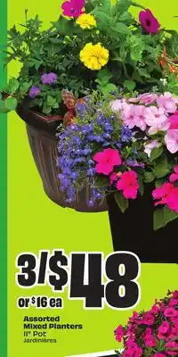 FreshCo Assorted Mixed Planters offer
