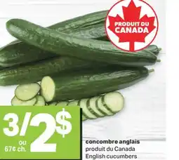 L'Intermarché CONCOMBRE ANGLAIS offer