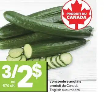 L'Intermarché CONCOMBRE ANGLAIS offer