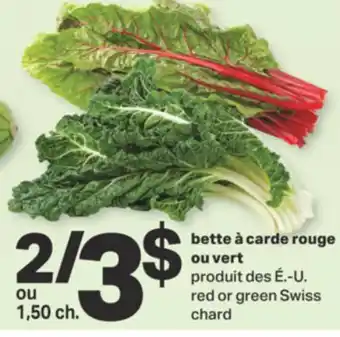 L'Intermarché BETTE À CARDE ROUGE OU VERT offer