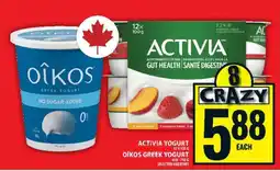 Food Basics ACTIVIA YOGURT / OIKOS GREEK YOGURT offer