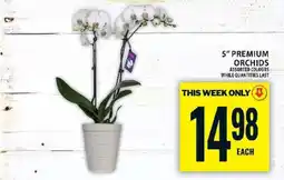 Food Basics 5” PREMIUM ORCHIDS offer