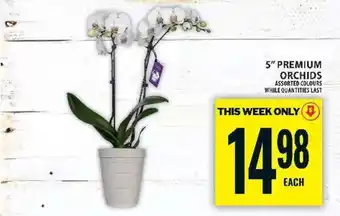 Food Basics 5” PREMIUM ORCHIDS offer