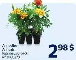 Walmart Annuelles Annuals offer
