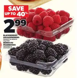 Independent City Market BLACKBERRIES OR RASPBERRIES, HALF PINT offer