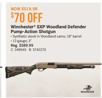 Cabela's Winchester SXP Woodland Defender Pump-Action Shotgun offer