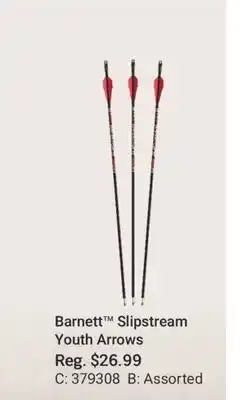 Cabela's Barnett Slipstream Youth Arrows offer