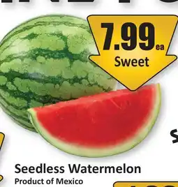 Starsky Seedless Watermelon offer