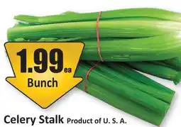 Starsky Celery Stalk offer
