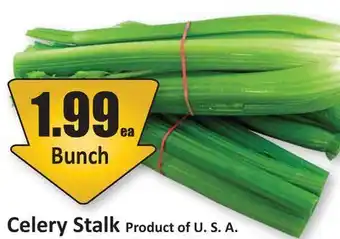 Starsky Celery Stalk offer