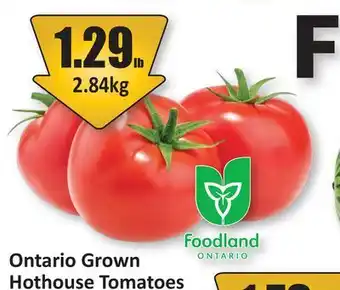 Starsky Ontario Grown Hothouse Tomatoes offer