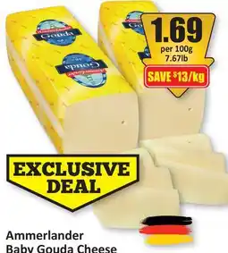 Starsky Ammerlander Baby Gouda Cheese offer