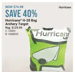 Cabela's Hurricane H-28 Bag Archery Target offer