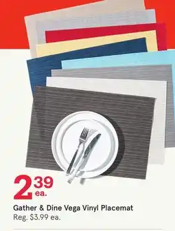 Kitchen Stuff Plus Gather & Dine Vega Vinyl Placemat offer