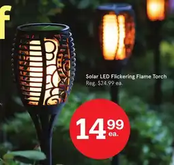 Kitchen Stuff Plus Solar LED Flickering Flame Torch offer