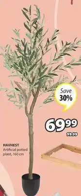 JYSK HAVHEST Artificial potted plant offer