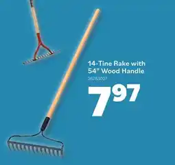 Matériaux Pont Masson 14-Tine Rake with 54 Wood Handle offer