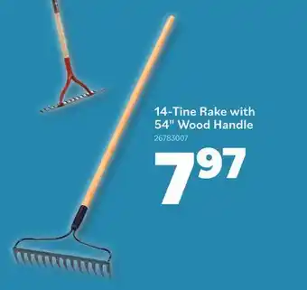 Matériaux Pont Masson 14-Tine Rake with 54 Wood Handle offer