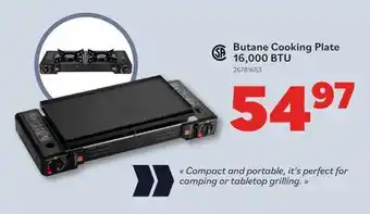 Matériaux Pont Masson Butane Cooking Plate offer