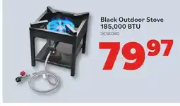 Matériaux Pont Masson Black Outdoor Stove - 185000 BTU offer